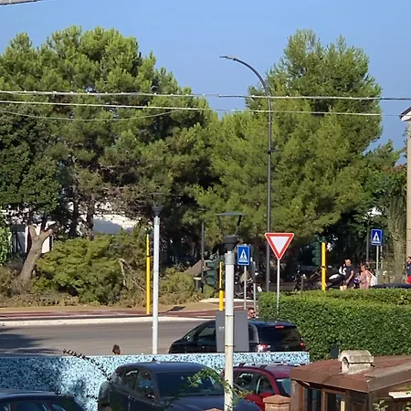 Mamalia Al Mare Pescara
